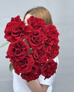 Красные французские розы Брест