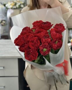 Букет из 15 красных пионовидных роз на фоне девушки