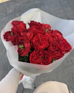 Букет из 15 красных пионовидных роз крупным планом