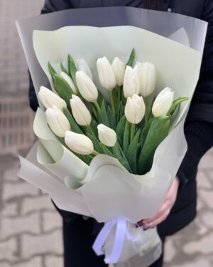 Тюльпаны в Бресте