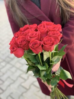 Длинная красная роза