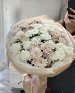 Пудровый букет из белых и нежно-розовых кустовых хризантем в Бресте