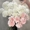 Белая и розовая гвоздика (диантус)